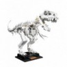 Конструктор 910 деталь Кости динозавров Ideas Dinosaur Fossils 20191